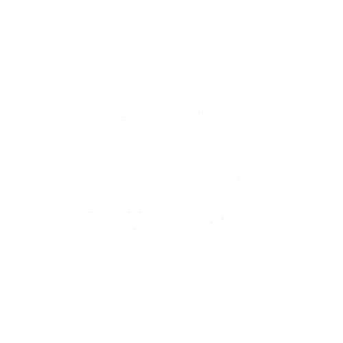 Novial